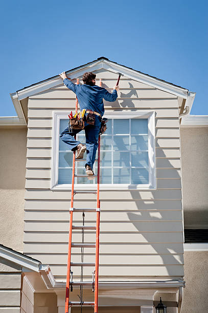 Best Storm Damage Siding Repair  in Mapleton, ND